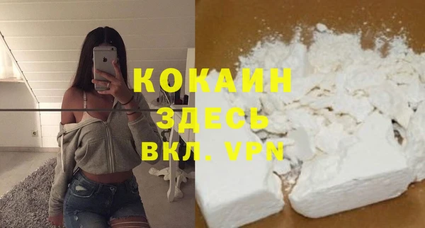 амф Ладушкин
