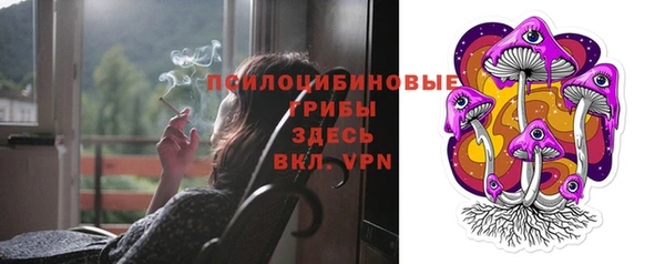 молекула духа Лиски