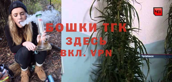 амф Ладушкин