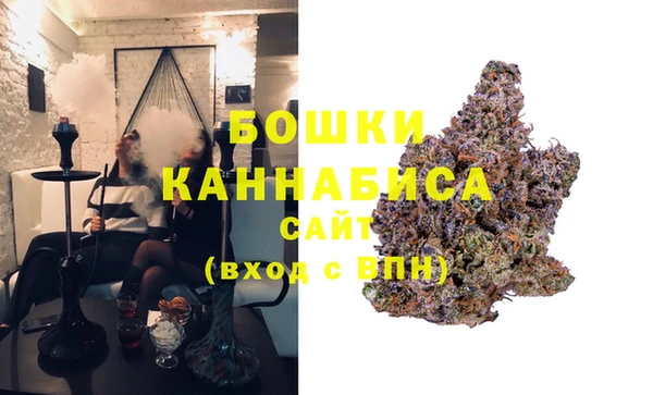 амф Ладушкин