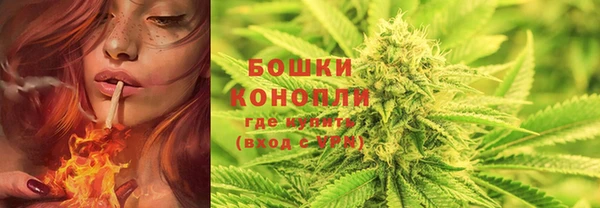 амф Ладушкин