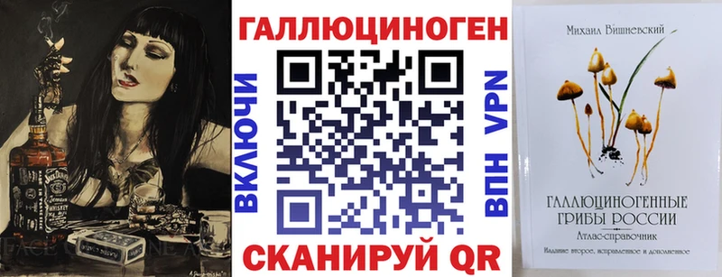 Купить закладки  Петушки  Псилоцибиновые грибы Cubensis 