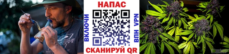Бошки Шишки Amnesia  Купить где  Петушки 